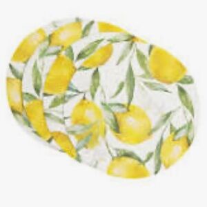 Citrus Delight woven Dining Placemat Set